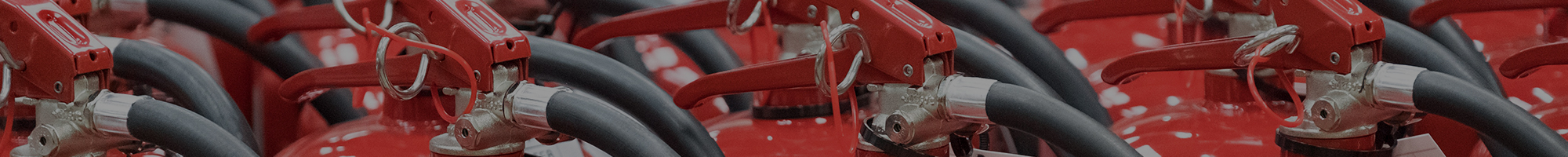 (주)이강소방아이앤씨_이미지pc